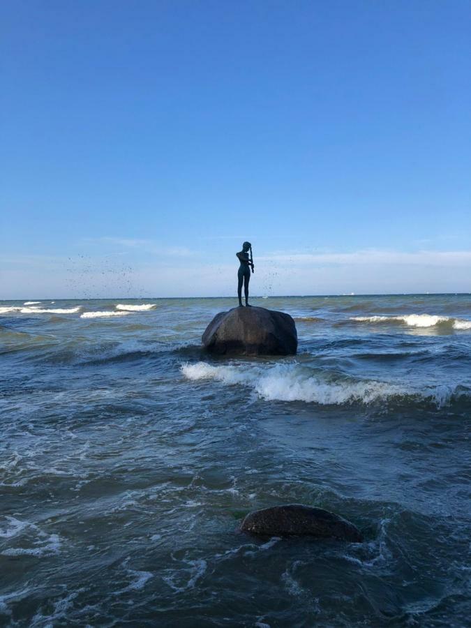 Ferienhaus Zum Suedstrand ゼリン エクステリア 写真